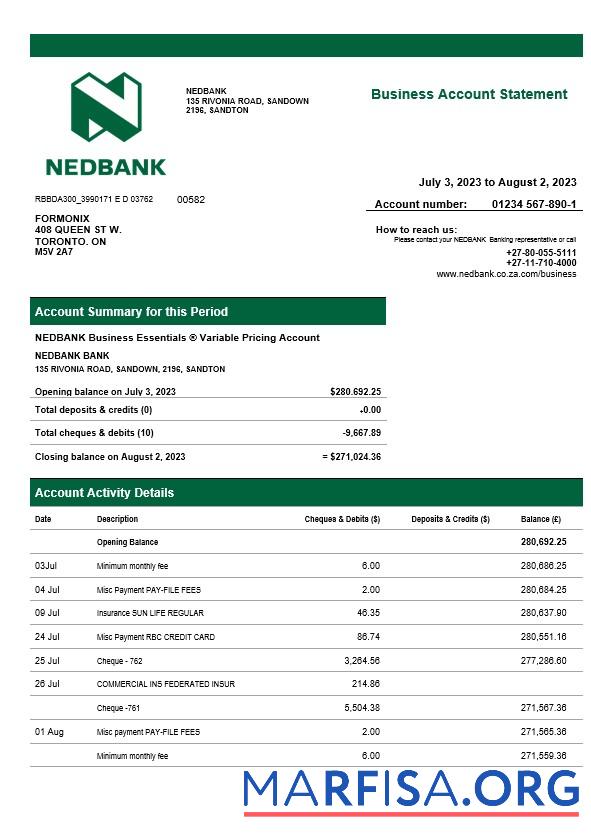 Realistic Nedbank firm statement Word and PDF template